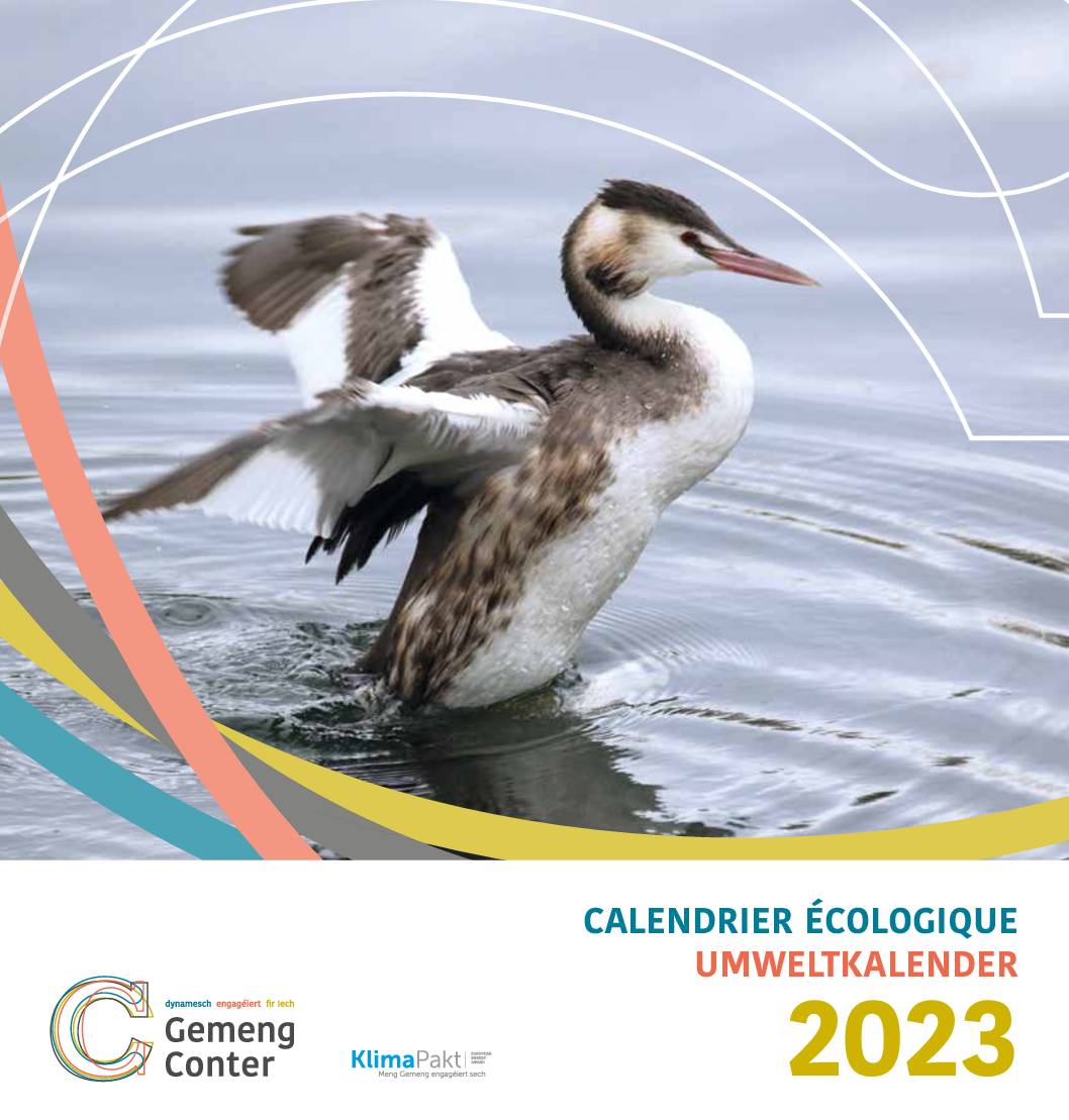 Contern - Calendrier écologique 2023