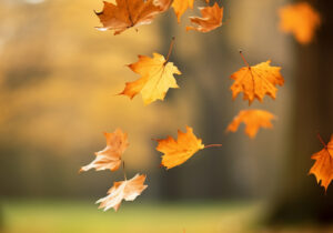 Bénédictions des tombes 2025