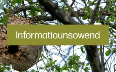 Themenowend: Asiatesch Runn