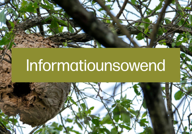 Themenowend: Asiatesch Runn