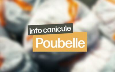 Collecte poubelle