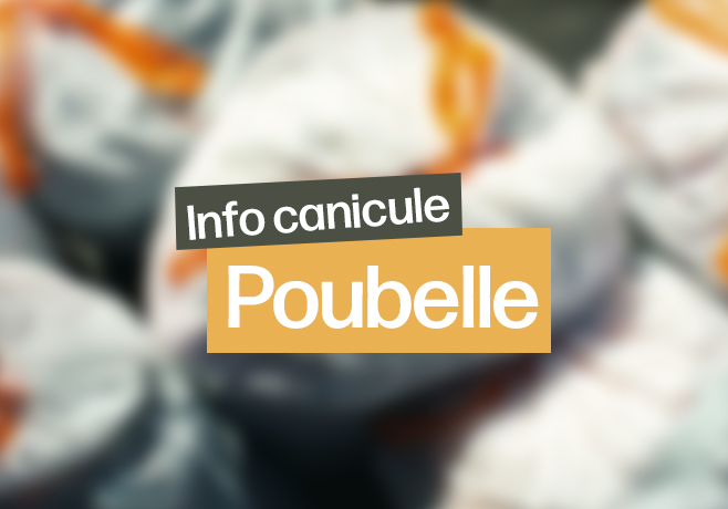 Collecte poubelle