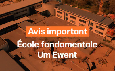 Avis | Canicule
