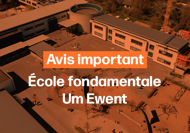 Avis | Canicule
