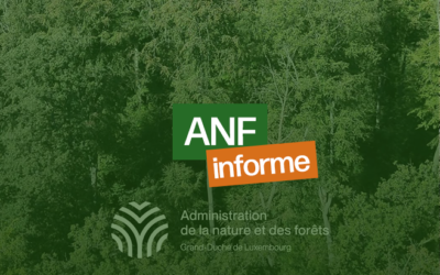 L&rsquo;ANF informe : Prudence en forêt
