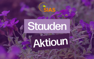 Aktioun Bestëbserstauden 2026
