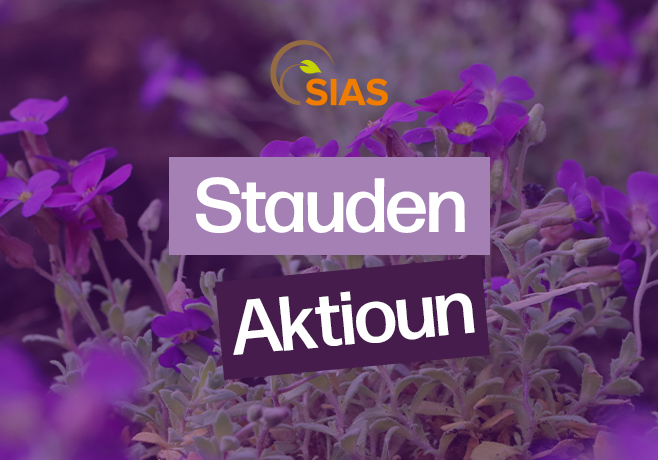 Aktioun Bestëbserstauden 2026